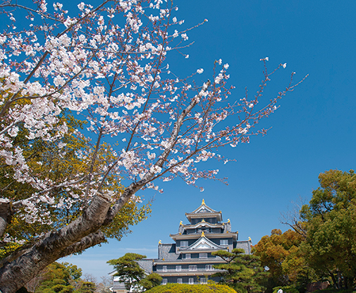 岡山城