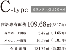 Cタイプ