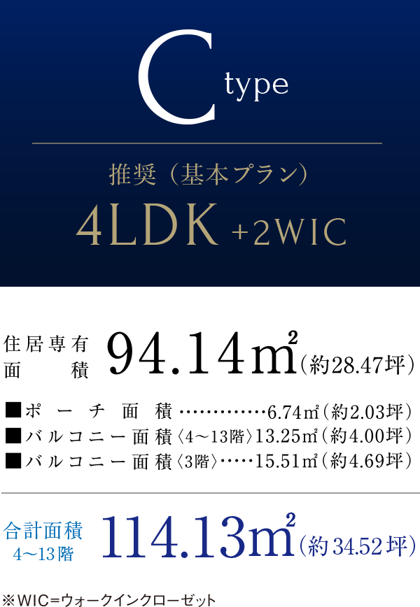 Cタイプ
