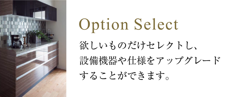 オプションセレクト