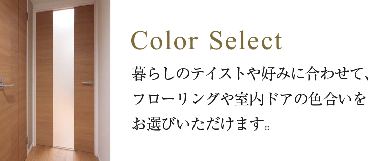 カラーセレクト