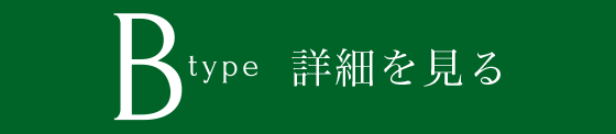 Bタイプを見る