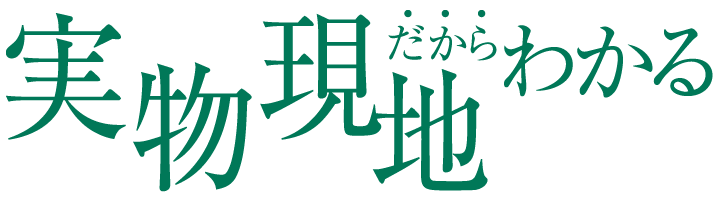 実物現地だからわかる