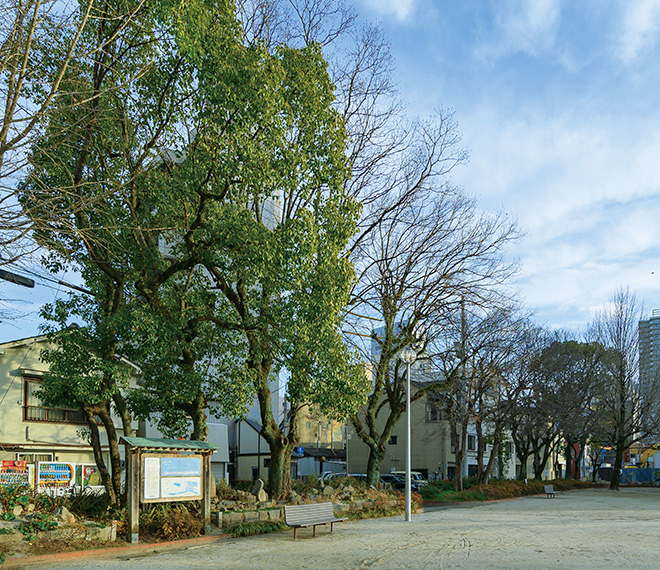 横堀公園