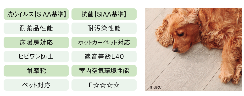 遮音等級最高ランクの防音フローリング