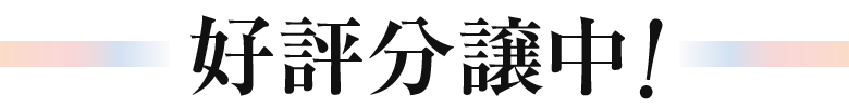 好評分譲中
