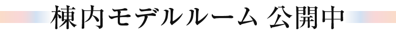 棟内モデルルーム公開中