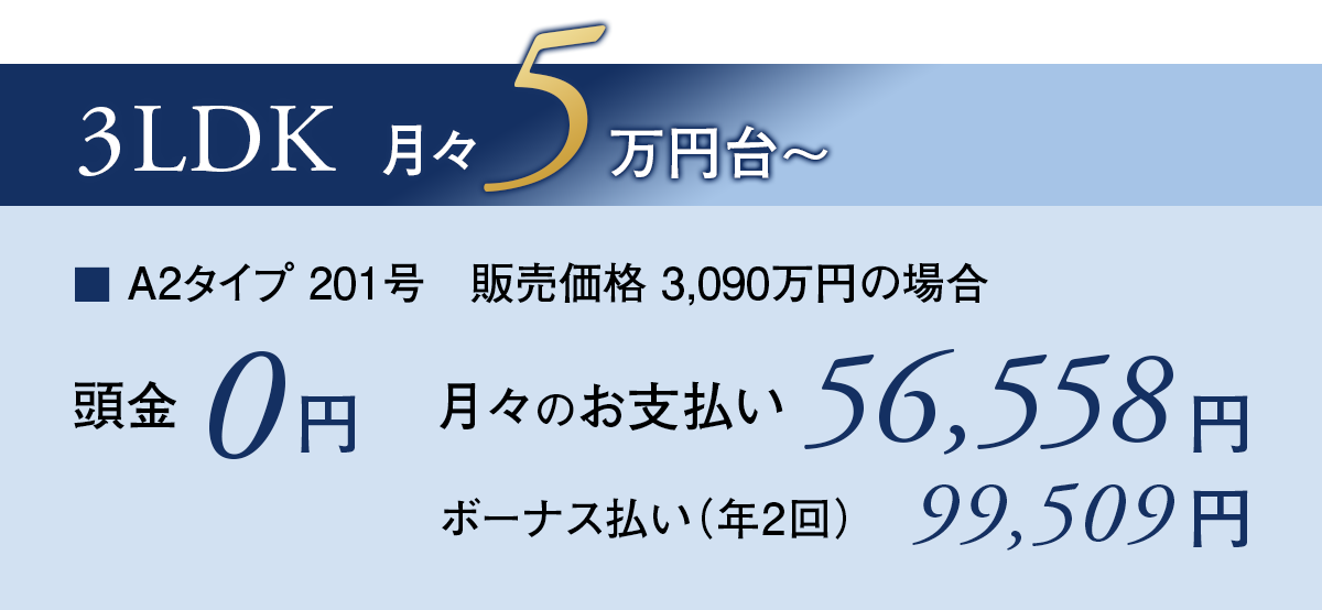 A2タイプ支払い例