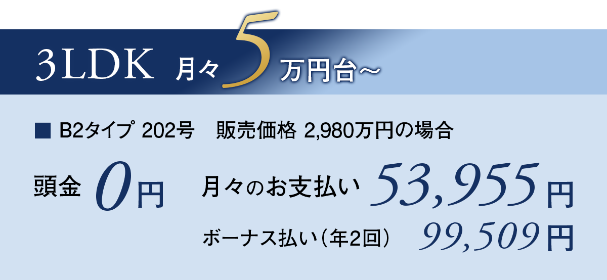 Bタイプ支払い例