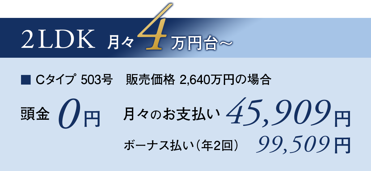 Cタイプ支払い例