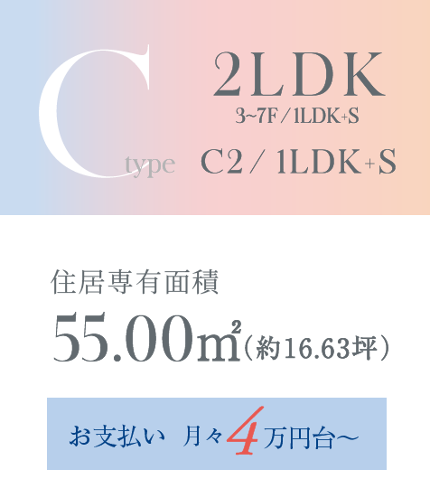 Cタイプ