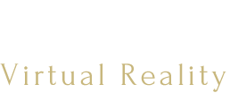 VR体感