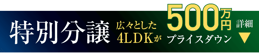 特別分譲。広々とした4LDKが500万円プライスダウン