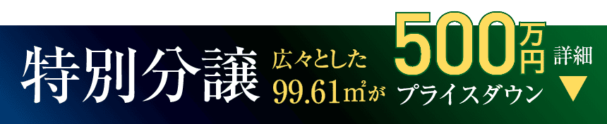 特別分譲。広々とした99.61㎡が500万円プライスダウン