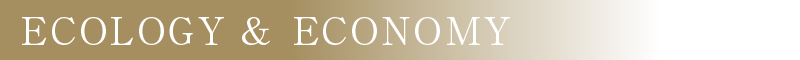 ECOLOGY & ECONOMY