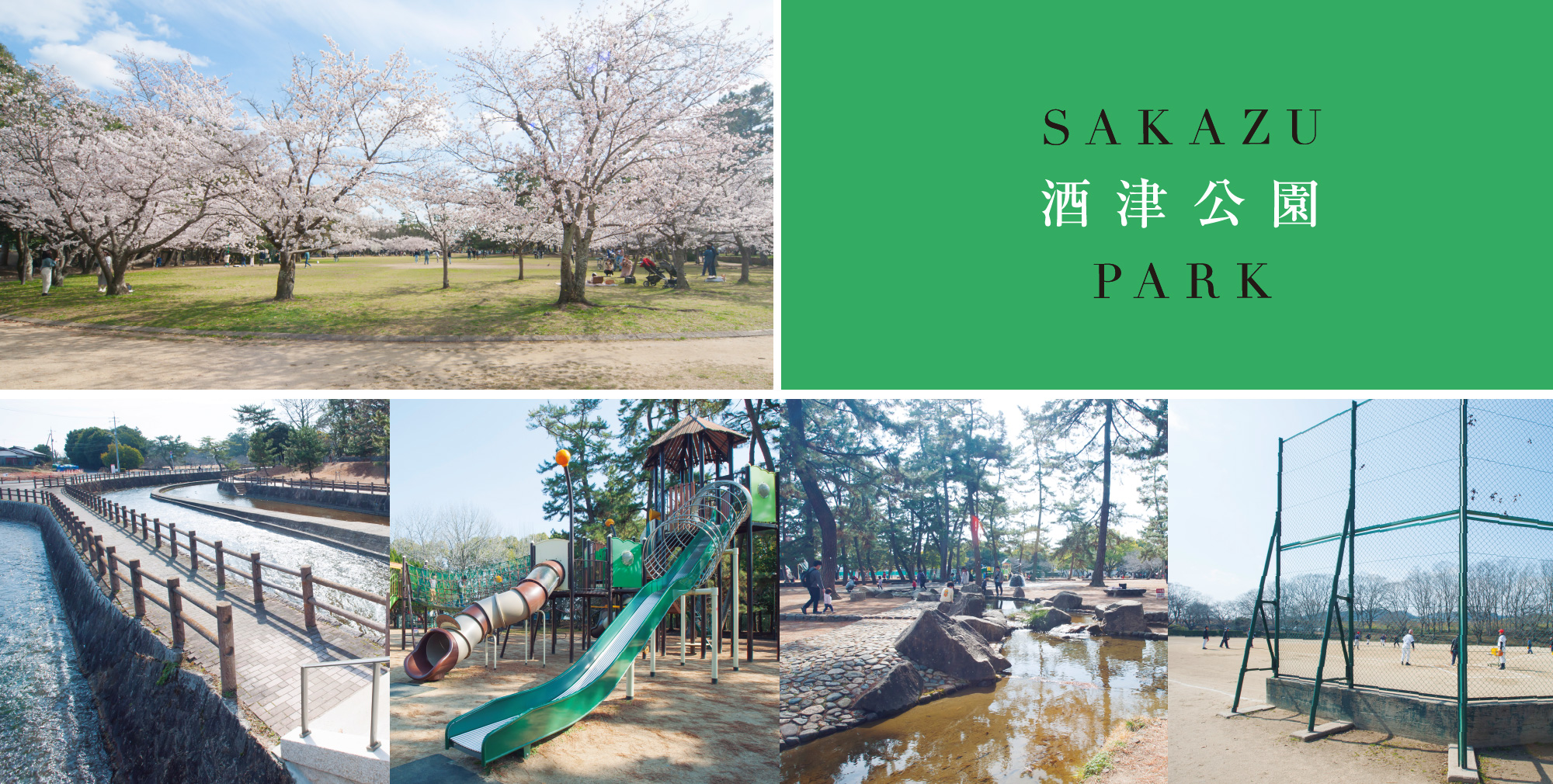 酒津公園写真