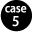 case5