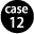 case12