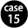 case15