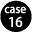 case16